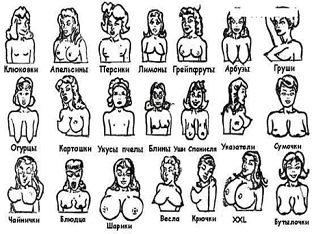 Как определить характер женщины по форме груди?