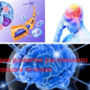 Стадии развития рассеянного склероза и течение
