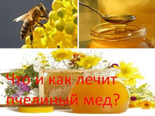 Что и как лечит пчелиный мед?
