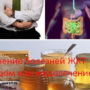 Лечение болезней ЖКТ медом или медолечение