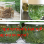 Как приготовить настойку, отвар из укропа?