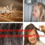 Педикулез причины профилактика меры борьбы