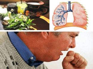 Какие народные средства помогут от слизи и мокроты в лёгких