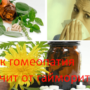 Лечение гайморита гомеопатией