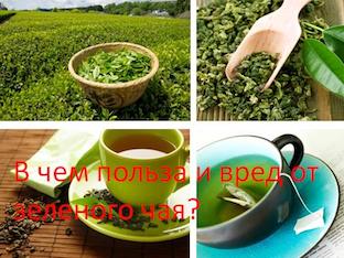 В чем польза и вред от зеленого чая