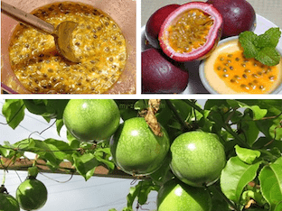 Чем полезны плоды маракуйя, лечебные свойства?