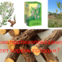 Какие противопоказания имеет корень солодки?