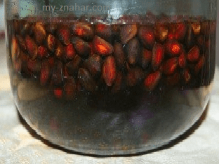 Как приготовить настойку из кедровых орешков