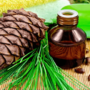 Чем полезно кедровое масло?