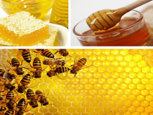 Чем полезен мед и его применение в медицине
