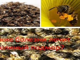 Какие болезни лечит пчелиный подмор