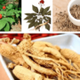 Какие есть полезные свойства у корня женьшеня?