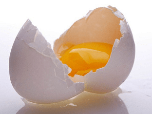 Лечение куриным яйцом по методу Капустина