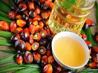 Вред пальмового масла для здоровья человека