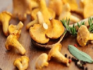 Как приготовить настойку из грибов: лисичек, шиитаке, рейши
