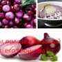 Чем полезен красный лук, его свойства?