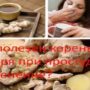 Чем полезен корень имбиря при простуде, применение?