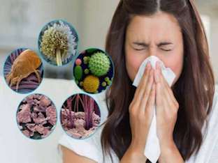 Что является причиной аллергии на пыль, симптомы, лечение
