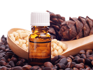 Чем полезно кедровое масло: польза и вред