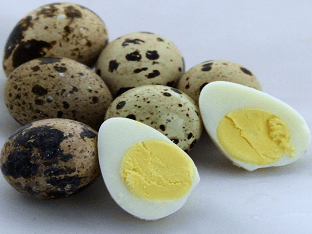 Какие полезные свойства у перепелиных яиц