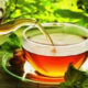Наука заваривания зеленого чая